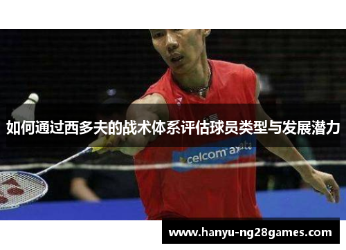 如何通过西多夫的战术体系评估球员类型与发展潜力